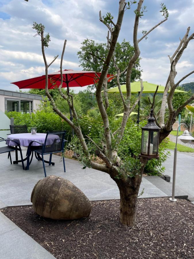 Ferienwohnung Am Pferdemarkt Konz Exteriör bild