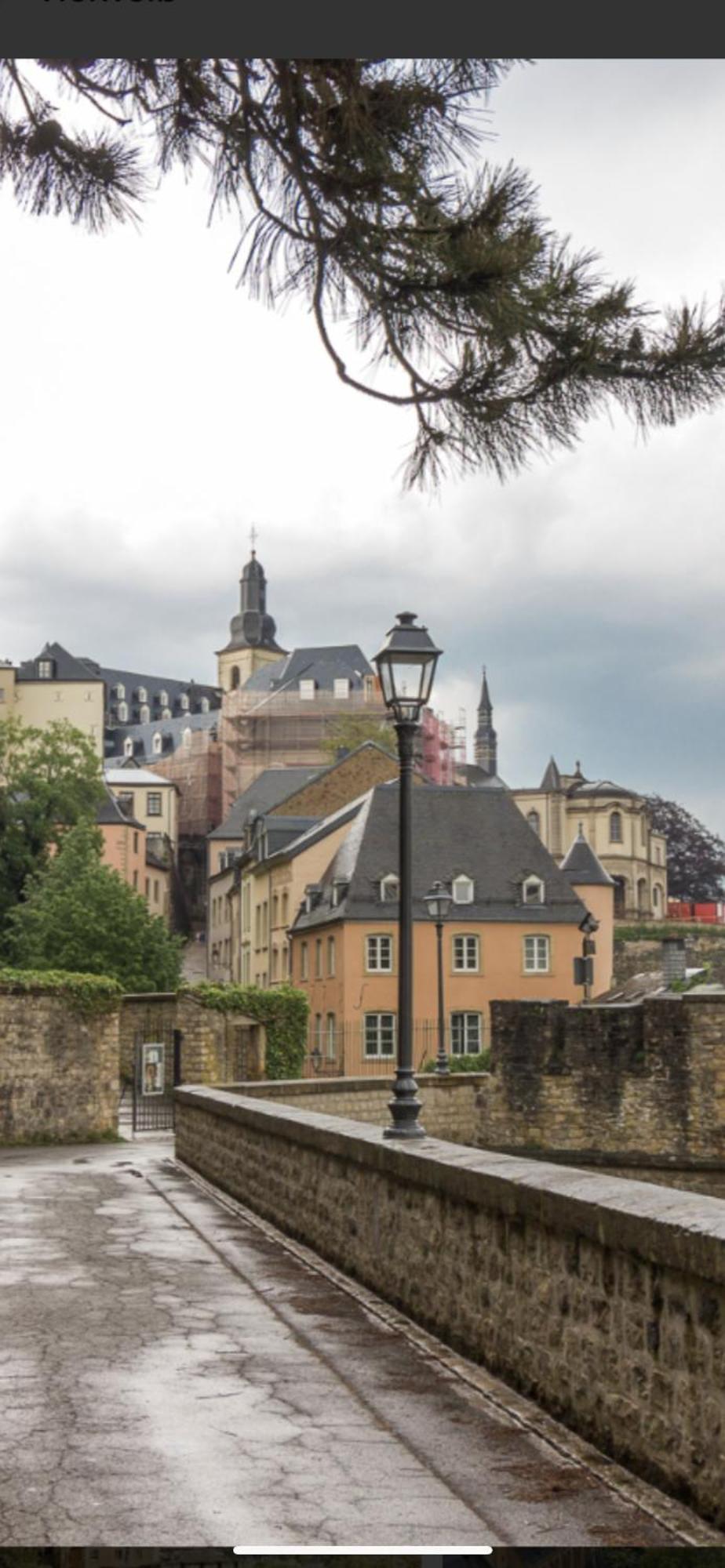 Ferienwohnung Am Pferdemarkt Konz Exteriör bild